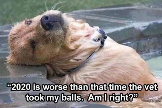 Random Funny Memes (74 pics)