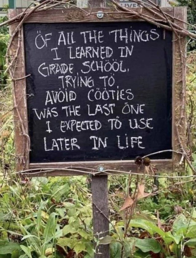 Random Funny Memes (74 pics)