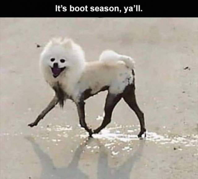 Random Funny Memes (74 pics)