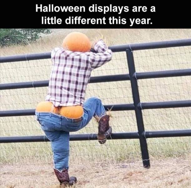 Random Funny Memes (74 pics)