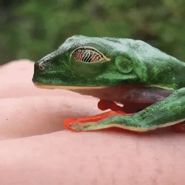Wow GIFs (24 gifs)