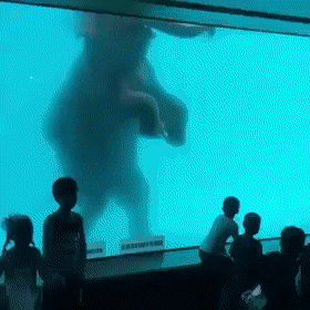 Wow GIFs (24 gifs)