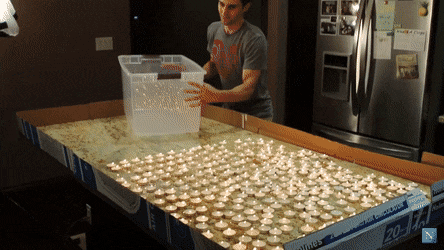 Wow GIFs (24 gifs)
