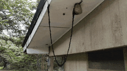Wow GIFs (24 gifs)