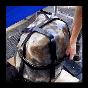 Wow GIFs (24 gifs)
