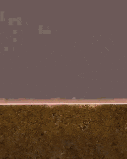 Wow GIFs (24 gifs)