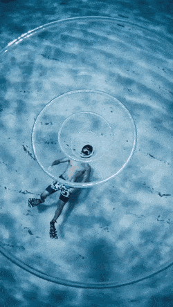 Wow GIFs (24 gifs)