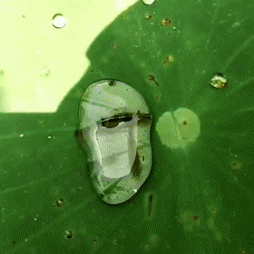 Wow GIFs (24 gifs)