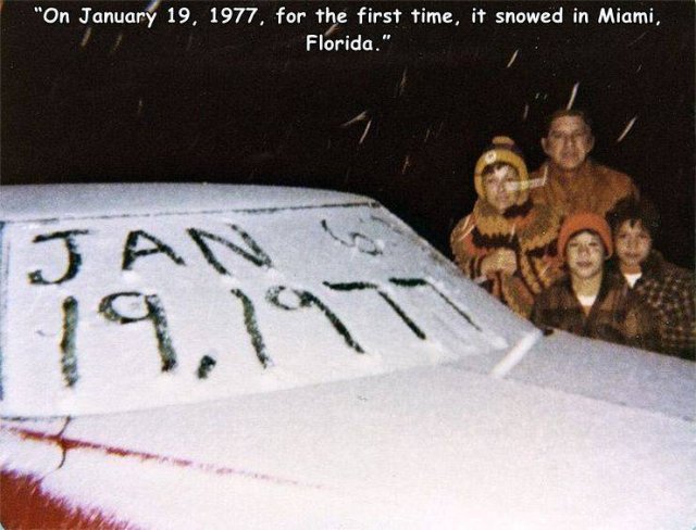 Acid Picdump. Part 2 (96 pics)