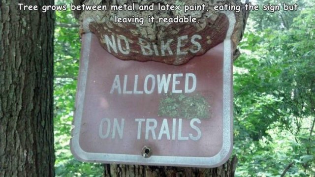 Acid Picdump. Part 2 (96 pics)