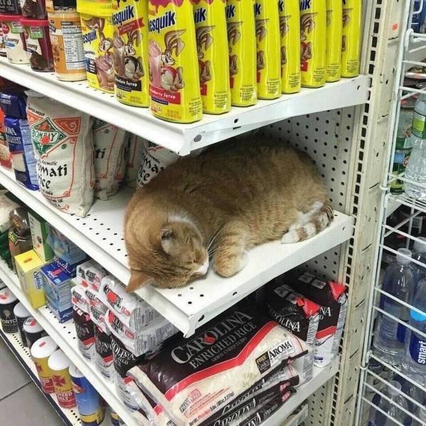 Acid Picdump. Part 2 (96 pics)