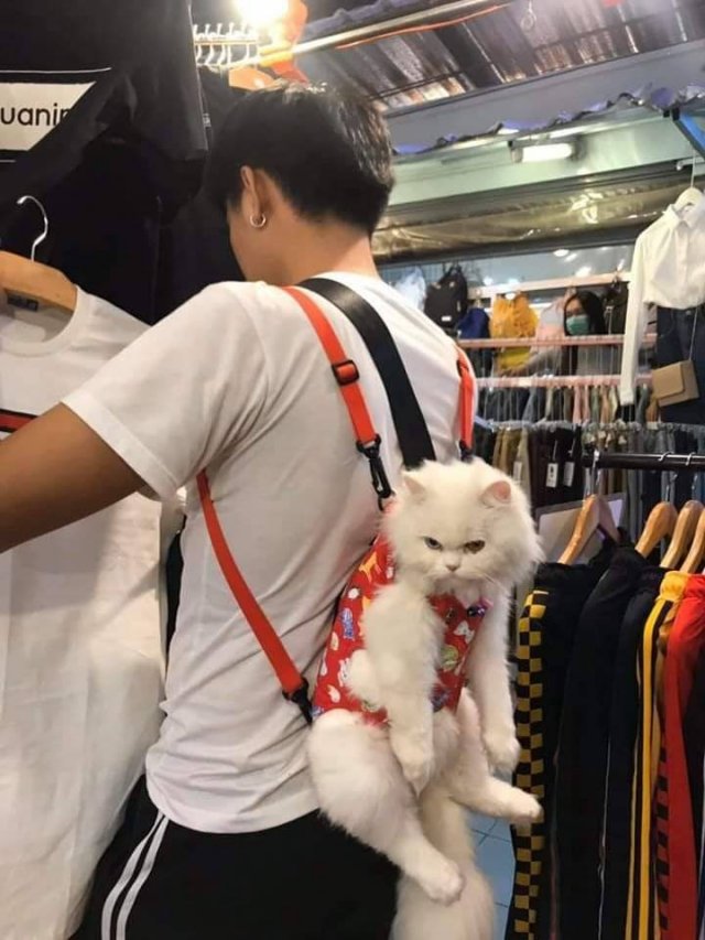 Acid Picdump. Part 2 (96 pics)