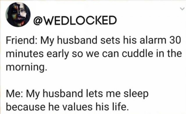Funny Tweets (41 pics)