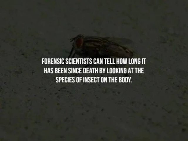 Scary Facts (18 pics)