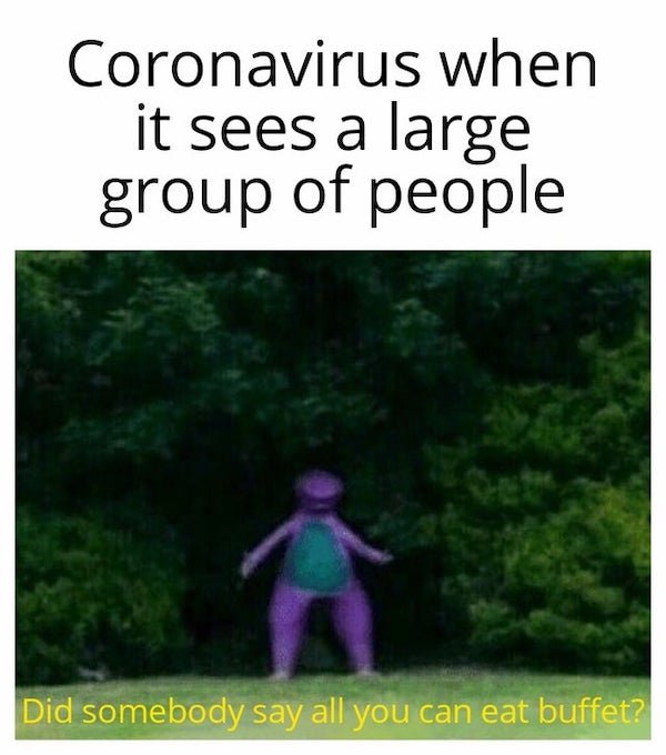 Quarantine Memes (29 pics)