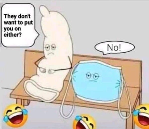 Quarantine Memes (29 pics)