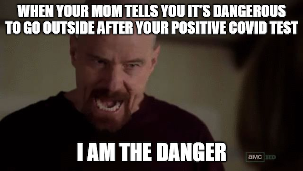 Quarantine Memes (29 pics)