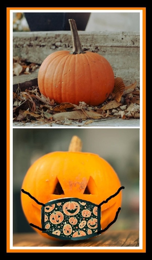 Quarantine Memes (29 pics)