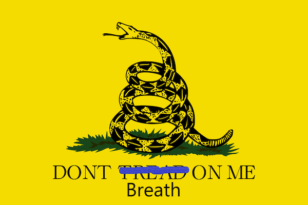 Quarantine Memes (29 pics)