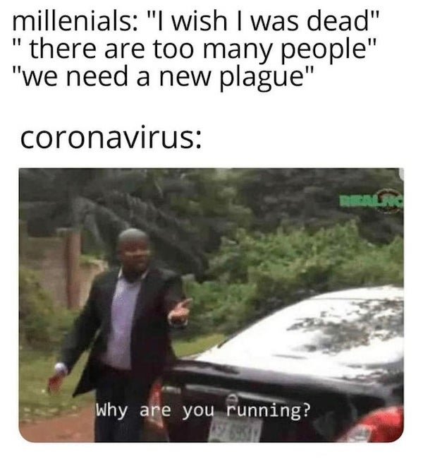 Quarantine Memes (29 pics)