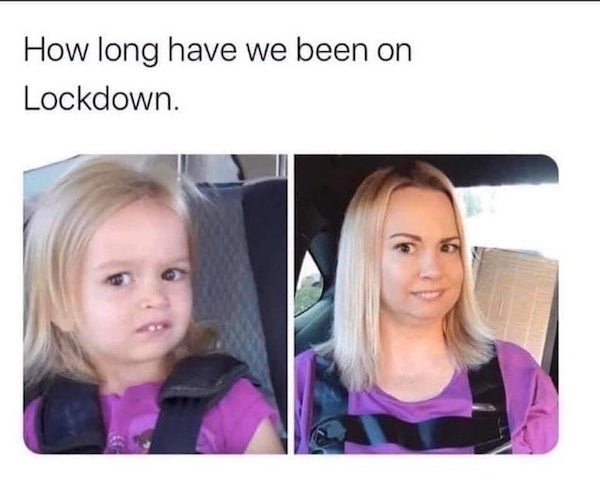 Quarantine Memes (29 pics)