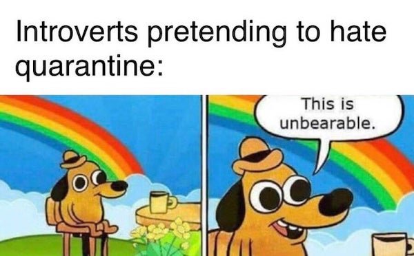 Quarantine Memes (29 pics)