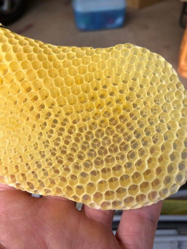 Perfection Is Possible (24 pics) Perfection Is Possible (24 pics)