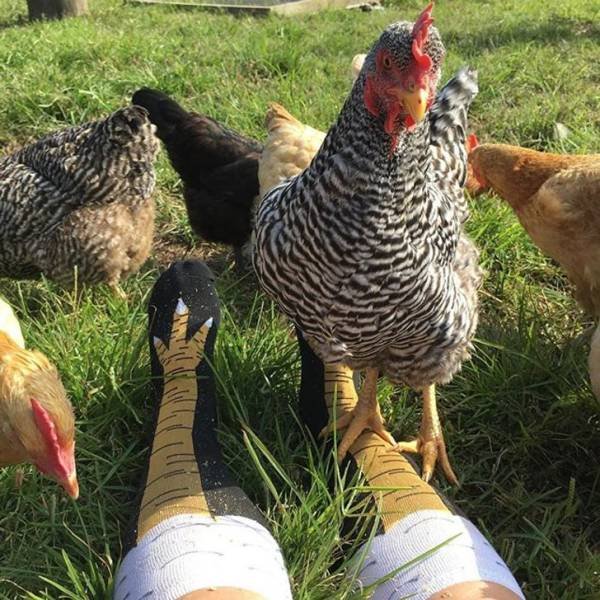 Perfection Is Possible (24 pics) Perfection Is Possible (24 pics)