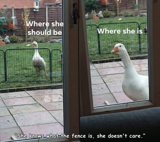 Acid Picdump. Part 1 (96 pics)