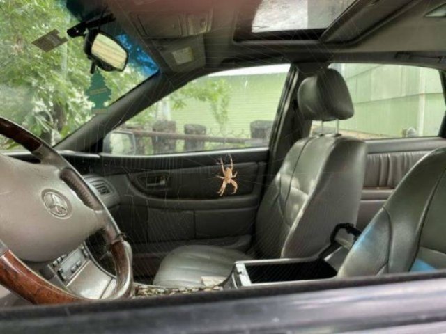 Acid Picdump. Part 1 (96 pics)