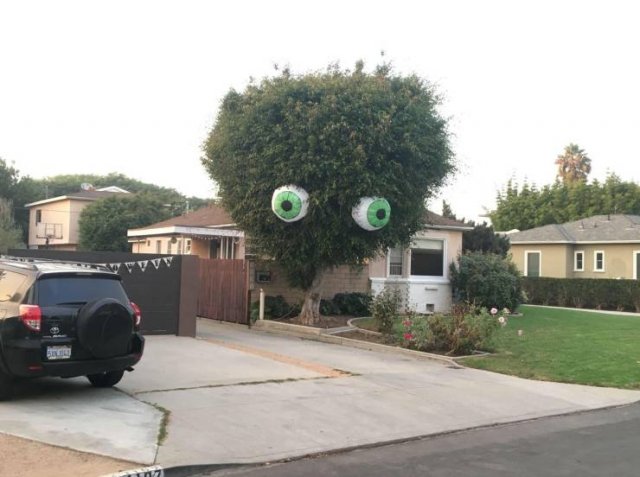 Acid Picdump. Part 1 (96 pics)