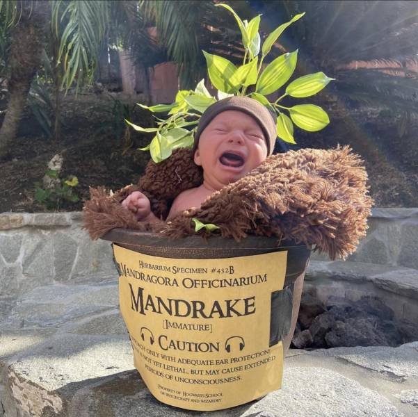 Acid Picdump. Part 1 (96 pics)