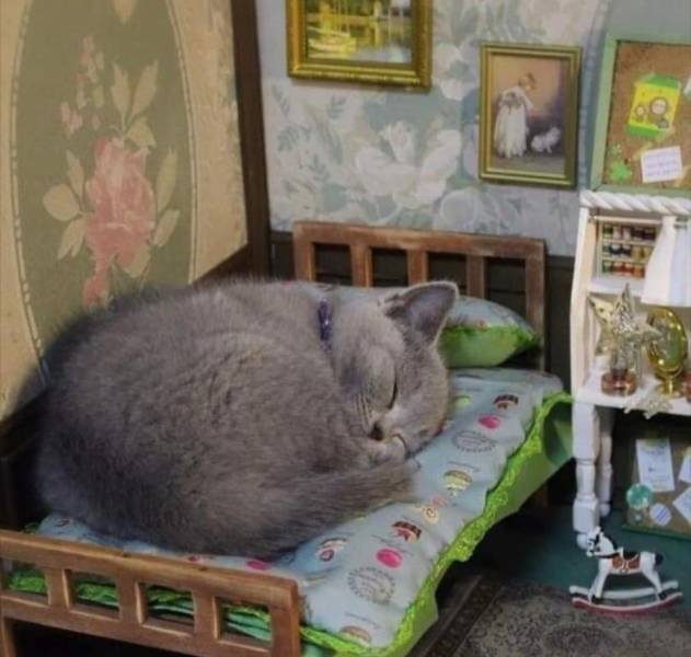 Acid Picdump. Part 1 (96 pics)