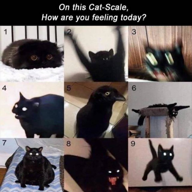 Random Funny Memes (87 pics)