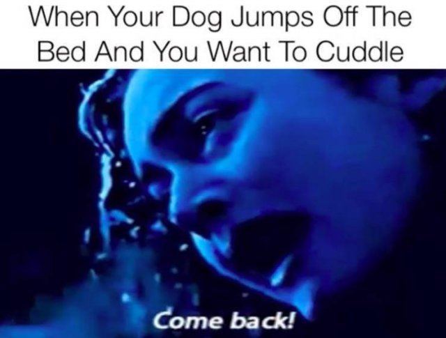 Random Funny Memes (87 pics)