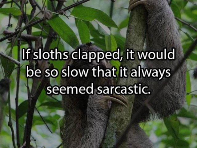 Shower Thoughts (19 pics)