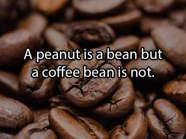 Shower Thoughts (19 pics)