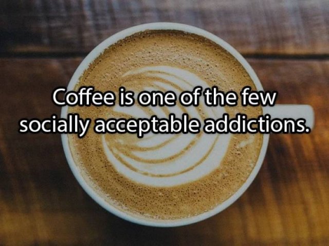 Shower Thoughts (19 pics)