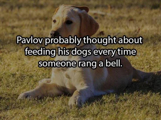 Shower Thoughts (19 pics)