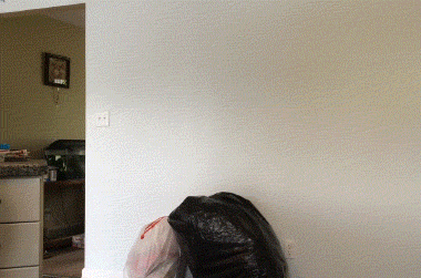 Scary GIFs (15 gifs)