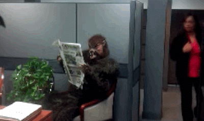 Scary GIFs (15 gifs)