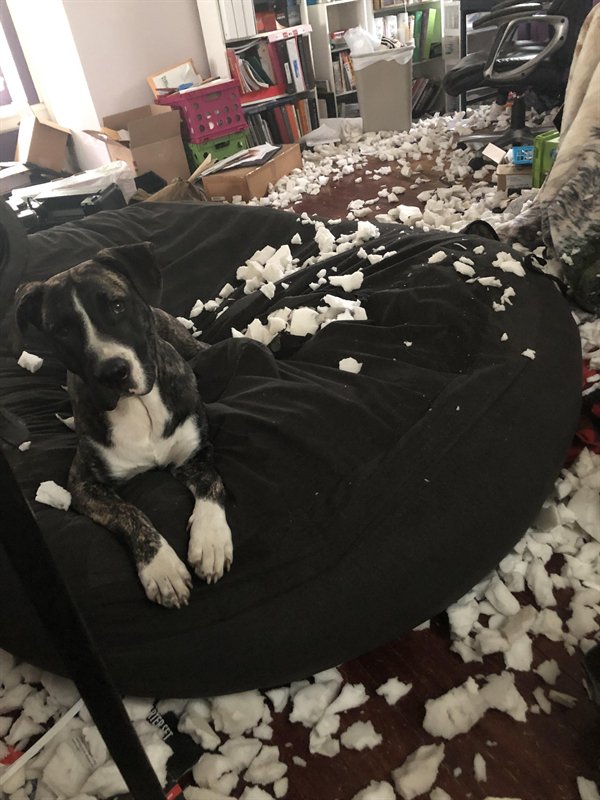 Bad Days Happen (27 pics)