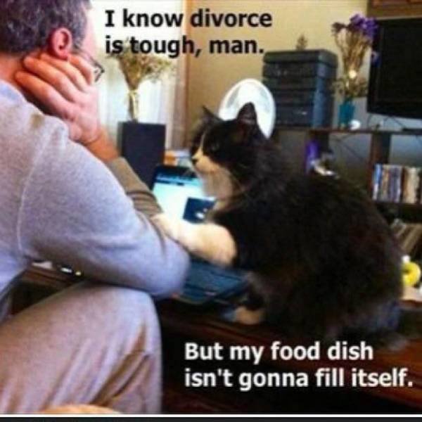 Dirty Humor (39 pics)