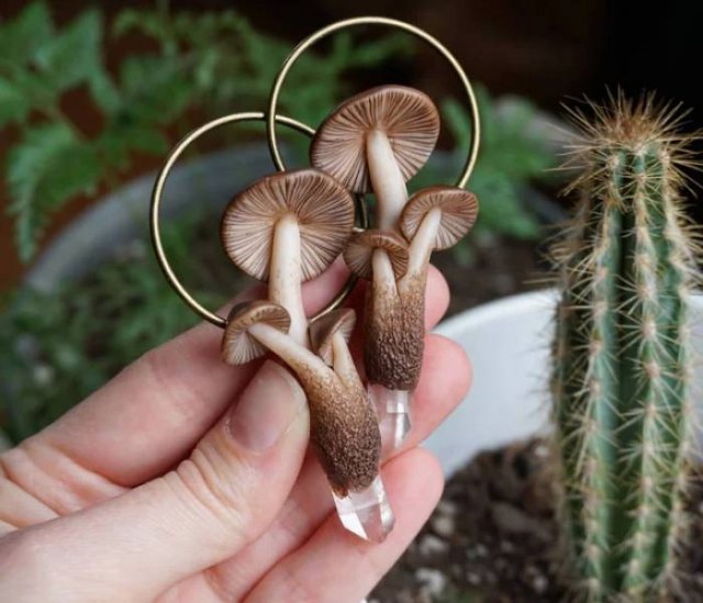 Perfect Combo: Persistence And Talent (39 pics)