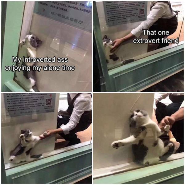 Acid Picdump. Part 2 (95 pics)