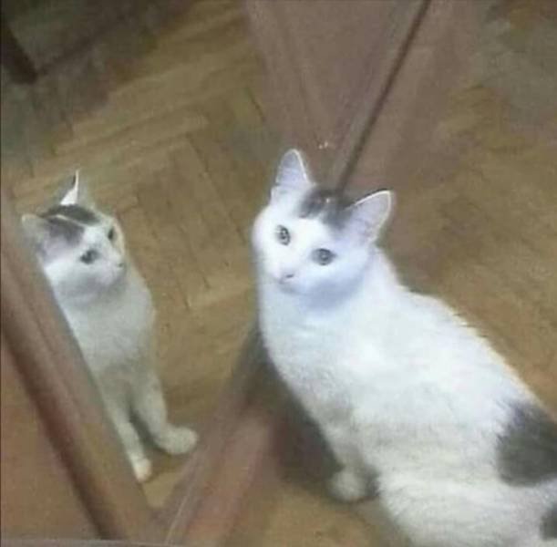 Acid Picdump. Part 2 (95 pics)