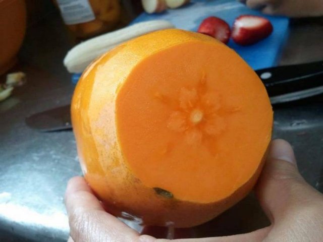 Acid Picdump. Part 1 (95 pics)