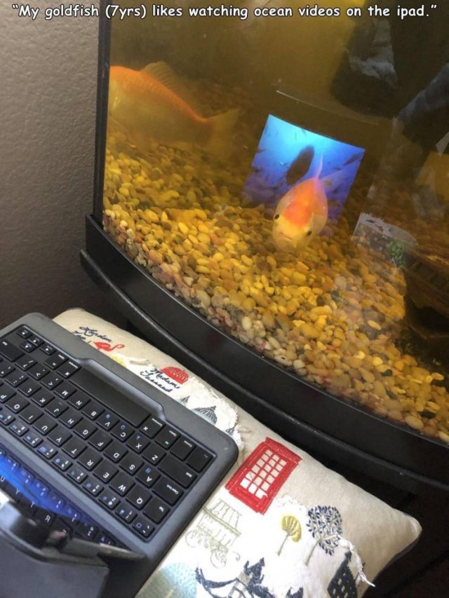 Acid Picdump. Part 1 (95 pics)