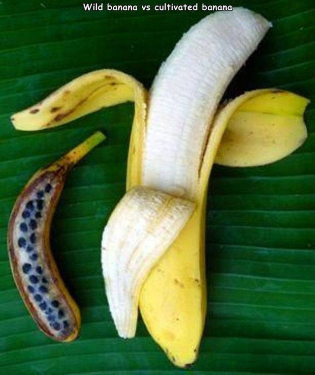 Acid Picdump. Part 1 (95 pics)