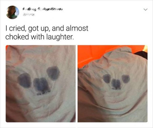 So True (15 pics)